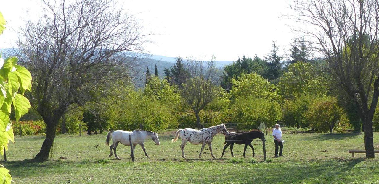 Vila La Petite Galejade Gordes Exteriér fotografie