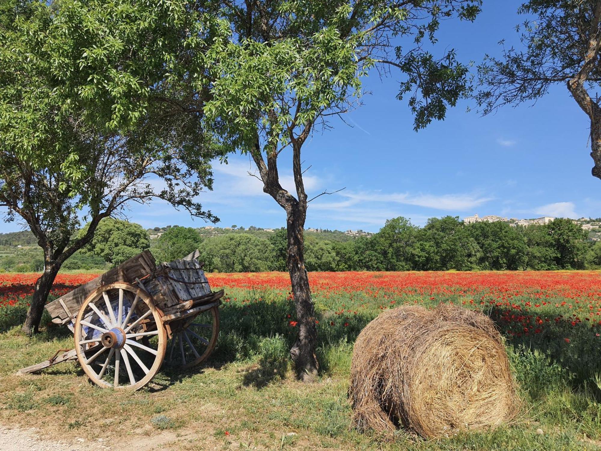 Vila La Petite Galejade Gordes Exteriér fotografie
